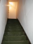 P1010007.JPG